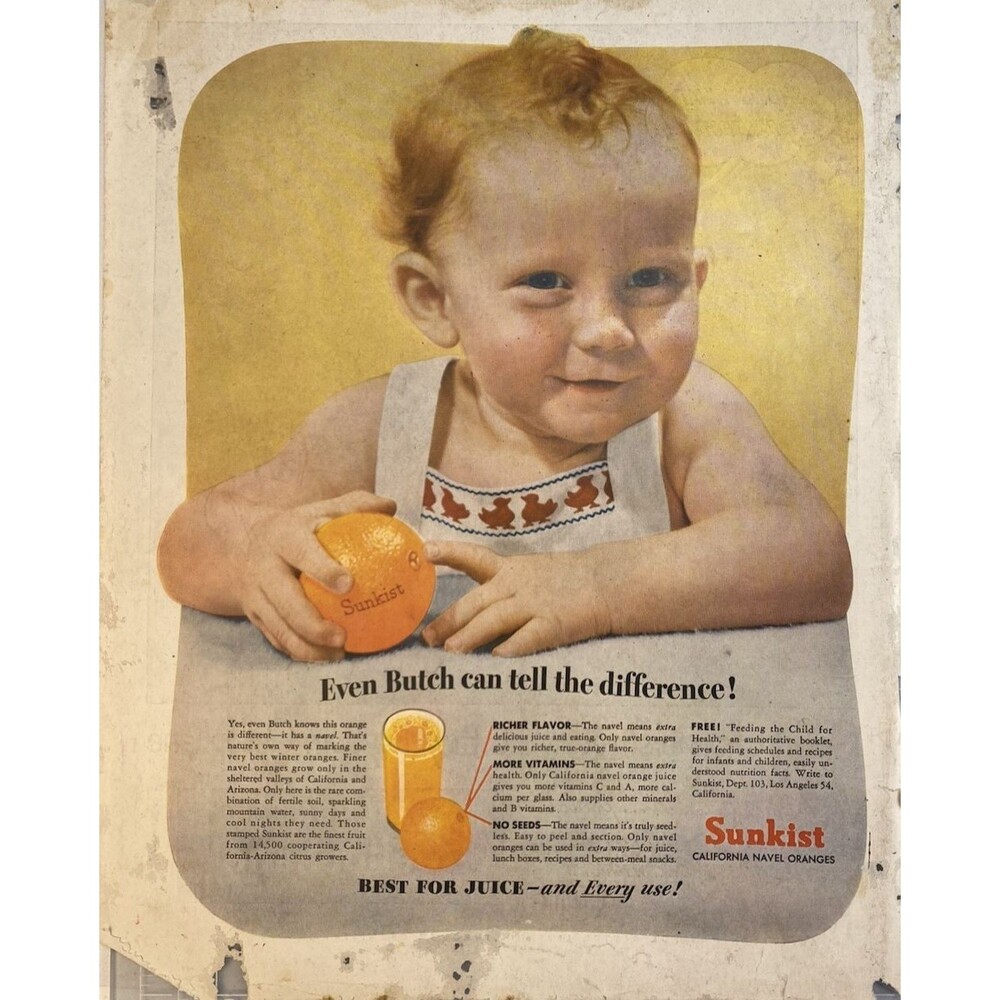 Sunkist California Navel Oranges Even Butch can tell the difference" Ad 1940's